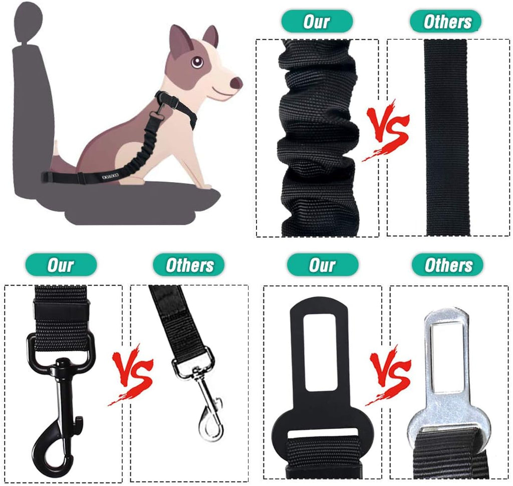 Why a Good Dog Seat Belt Feels Like an Upgrade to the Whole Ride