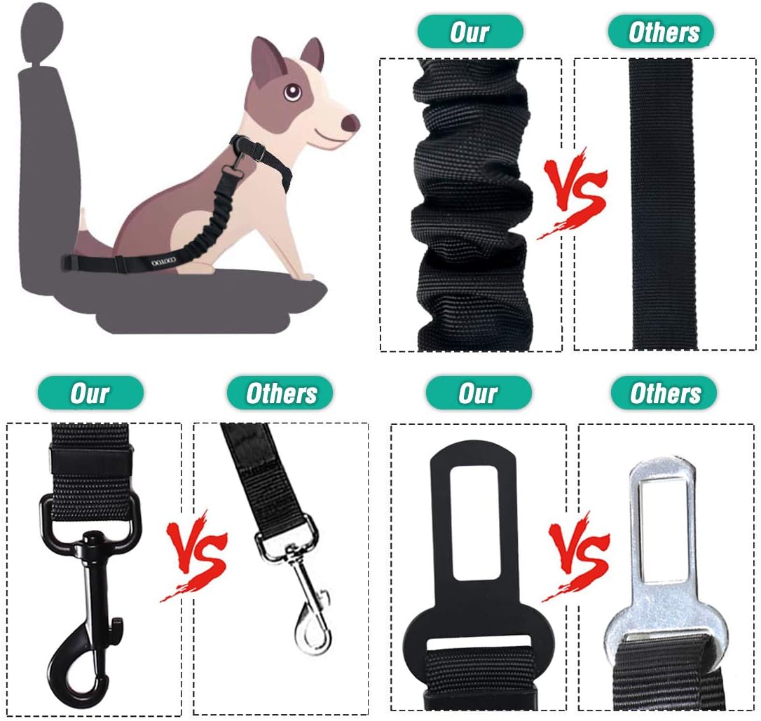 Why a Good Dog Seat Belt Feels Like an Upgrade to the Whole Ride