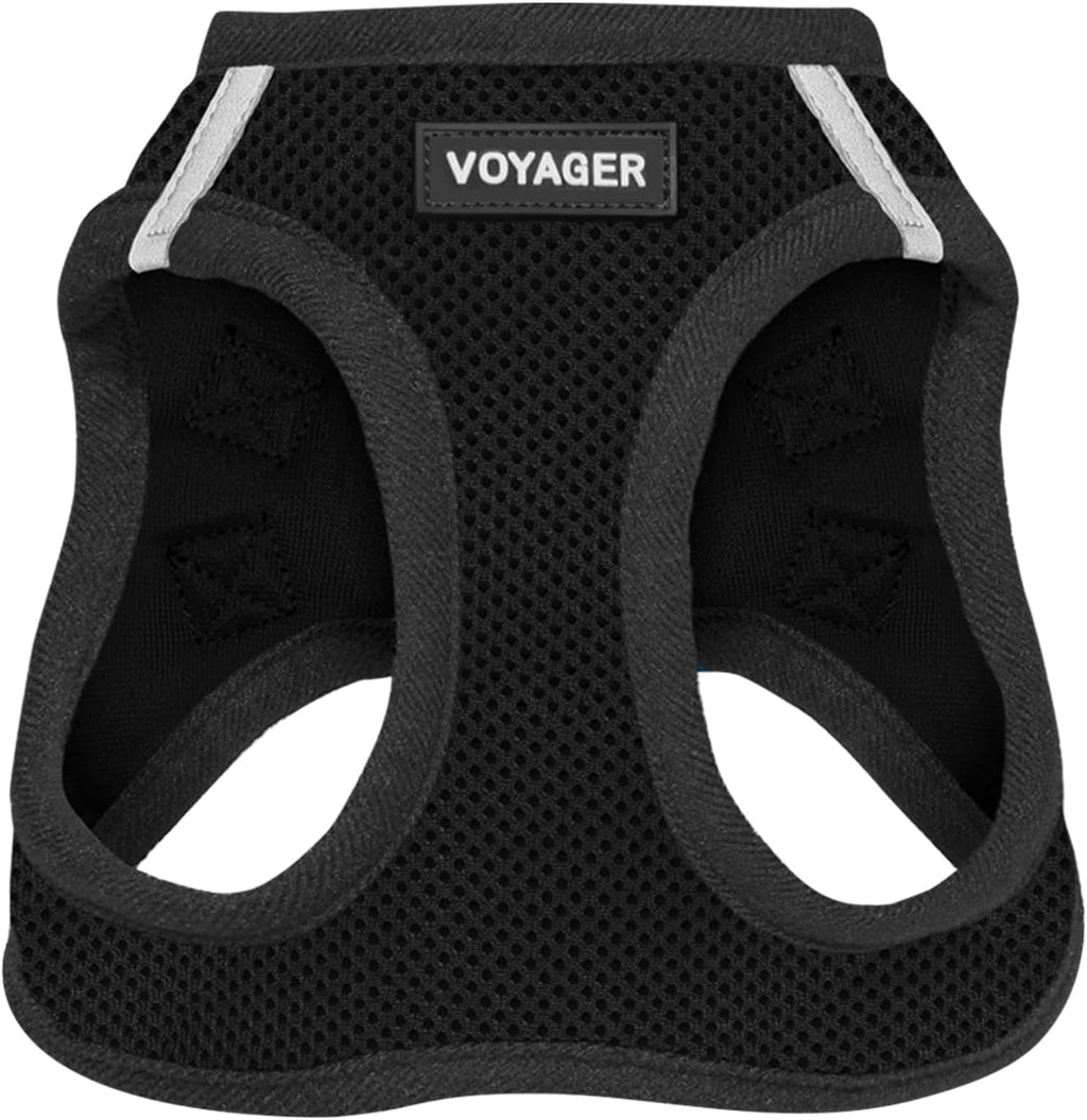 Best Pet Supplies Voyager Step-in Air Harness - All Weather Mesh, Reflective, No Pull Harness for Dogs, Cats - Secure with Hook & Loop Fastener, Buckle, Double D-Rings - Fuchsia, S