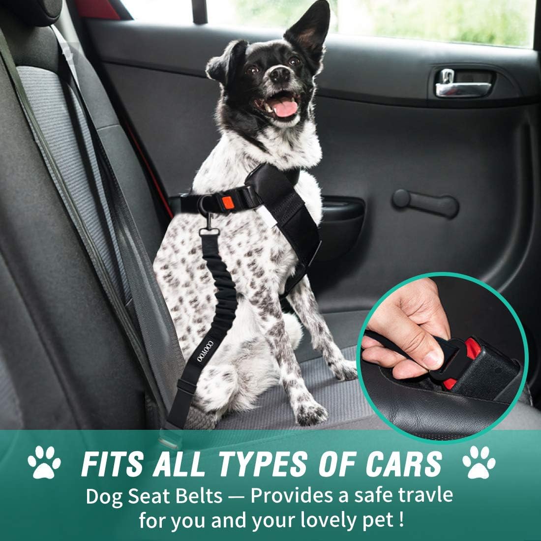 Why a Good Dog Seat Belt Feels Like an Upgrade to the Whole Ride