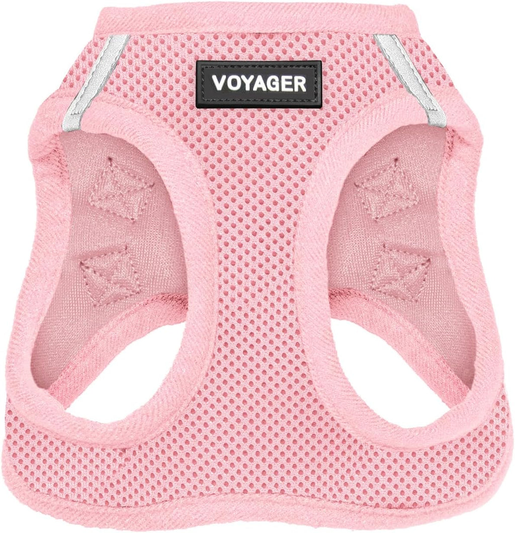 Best Pet Supplies Voyager Step-in Air Harness - All Weather Mesh, Reflective, No Pull Harness for Dogs, Cats - Secure with Hook & Loop Fastener, Buckle, Double D-Rings - Fuchsia, S