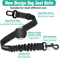 Why a Good Dog Seat Belt Feels Like an Upgrade to the Whole Ride
