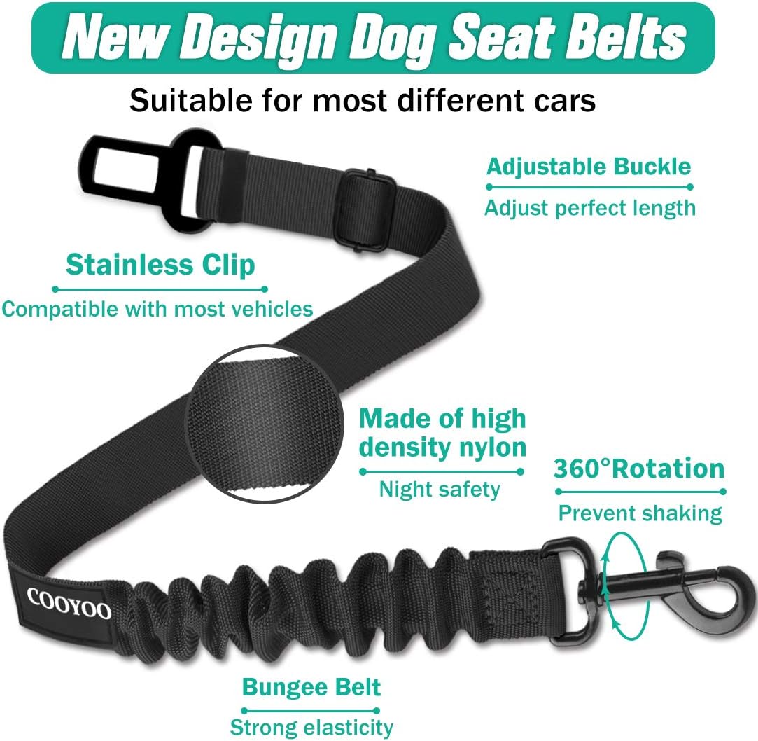 Why a Good Dog Seat Belt Feels Like an Upgrade to the Whole Ride