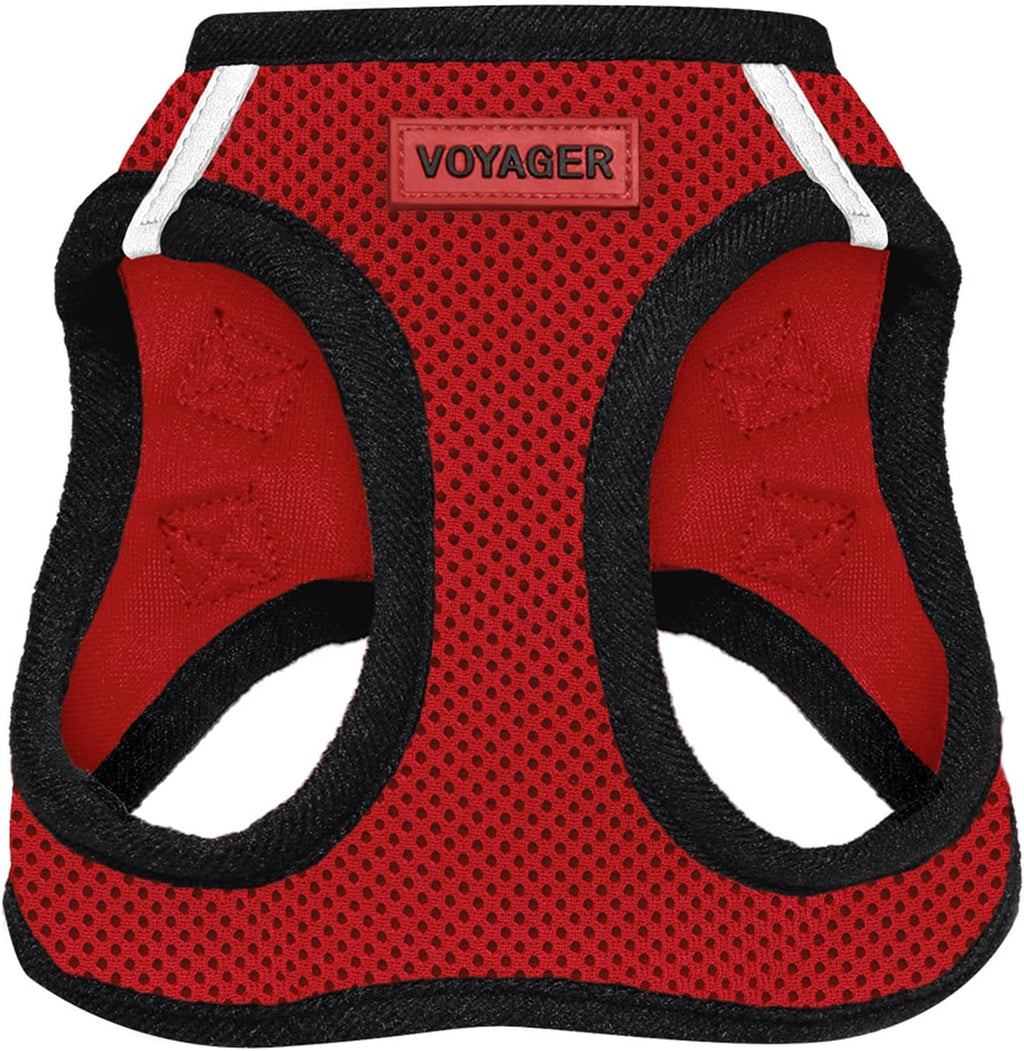 Best Pet Supplies Voyager Step-in Air Harness - All Weather Mesh, Reflective, No Pull Harness for Dogs, Cats - Secure with Hook & Loop Fastener, Buckle, Double D-Rings - Fuchsia, S