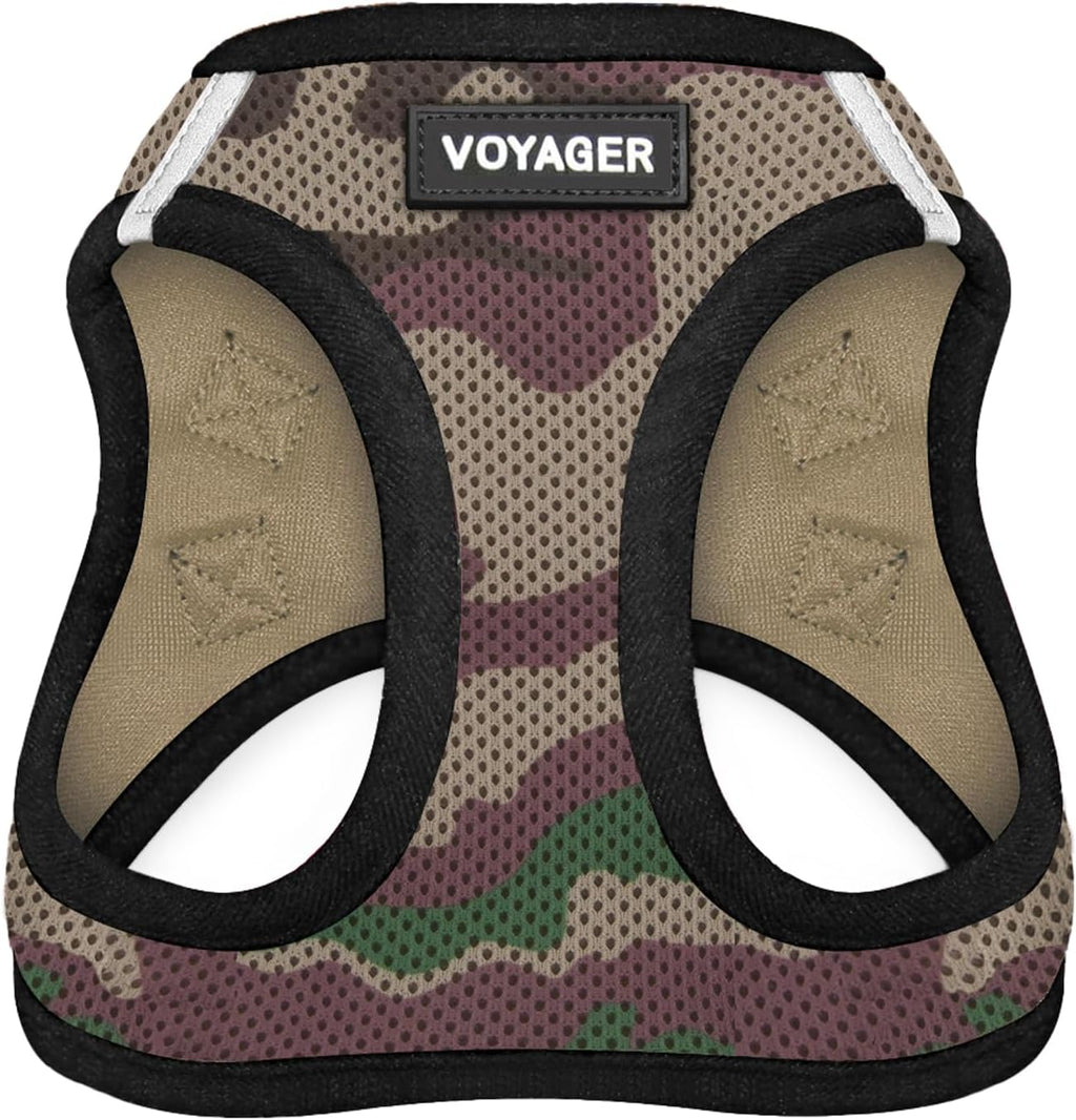 Best Pet Supplies Voyager Step-in Air Harness - All Weather Mesh, Reflective, No Pull Harness for Dogs, Cats - Secure with Hook & Loop Fastener, Buckle, Double D-Rings - Fuchsia, S