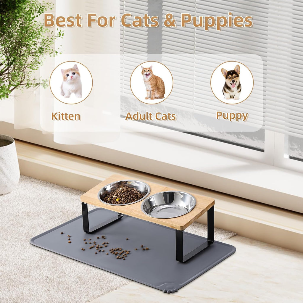 Rethinking the everyday bowl for cats (and pups)