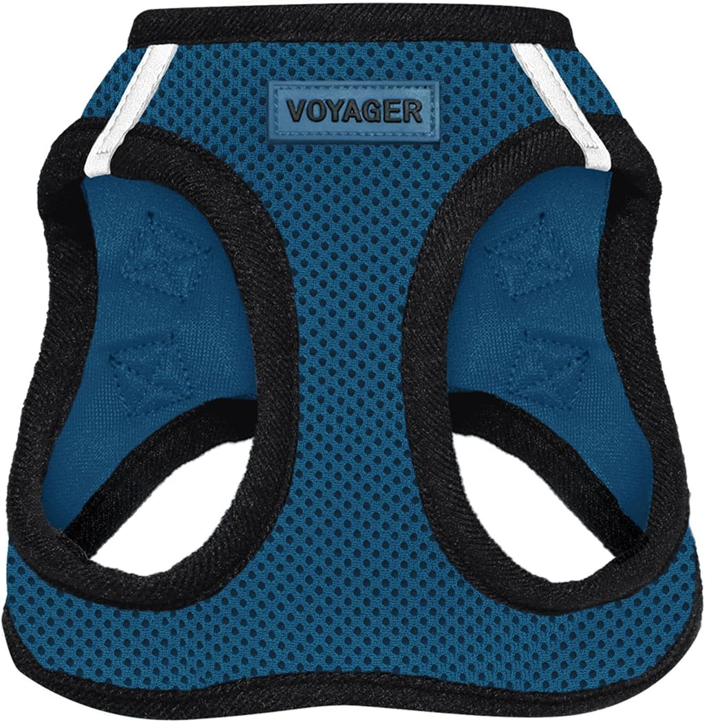 Best Pet Supplies Voyager Step-in Air Harness - All Weather Mesh, Reflective, No Pull Harness for Dogs, Cats - Secure with Hook & Loop Fastener, Buckle, Double D-Rings - Fuchsia, S
