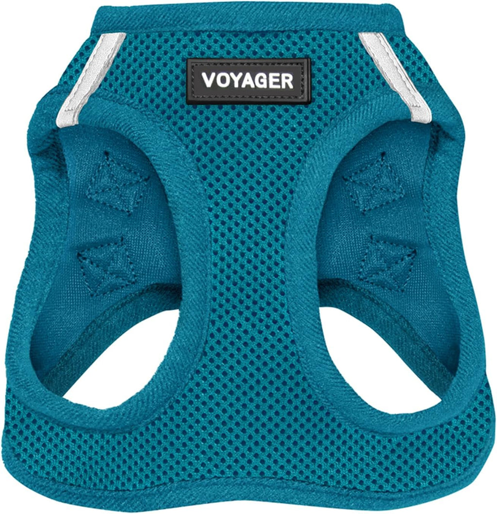 Best Pet Supplies Voyager Step-in Air Harness - All Weather Mesh, Reflective, No Pull Harness for Dogs, Cats - Secure with Hook & Loop Fastener, Buckle, Double D-Rings - Fuchsia, S