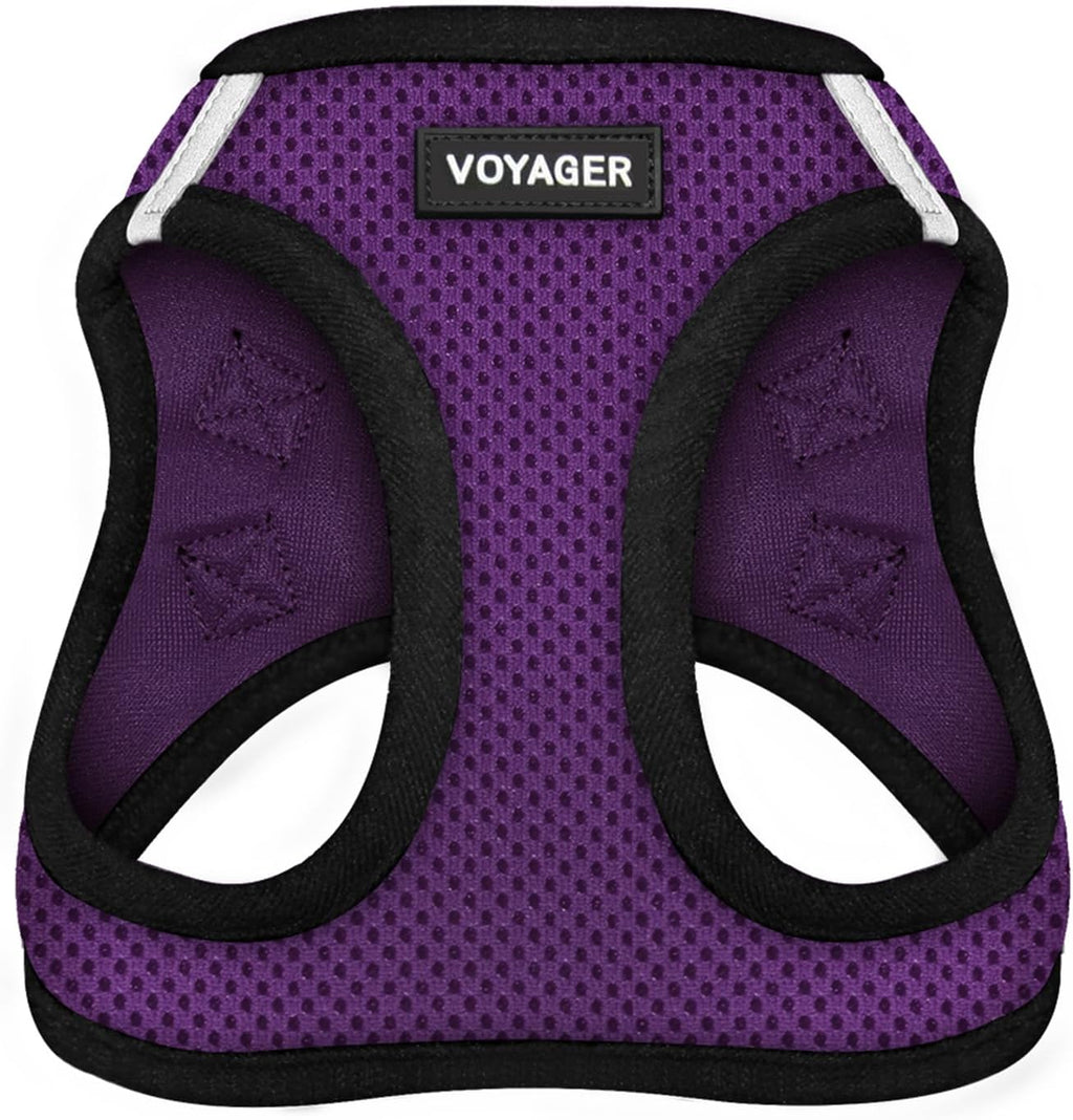 Best Pet Supplies Voyager Step-in Air Harness - All Weather Mesh, Reflective, No Pull Harness for Dogs, Cats - Secure with Hook & Loop Fastener, Buckle, Double D-Rings - Fuchsia, S