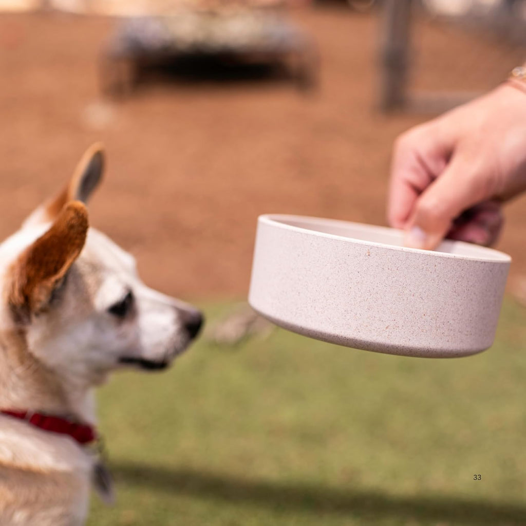 Why a Bamboo Bowl Might Just Be the Upgrade Your Pet’s Kitchen Needs