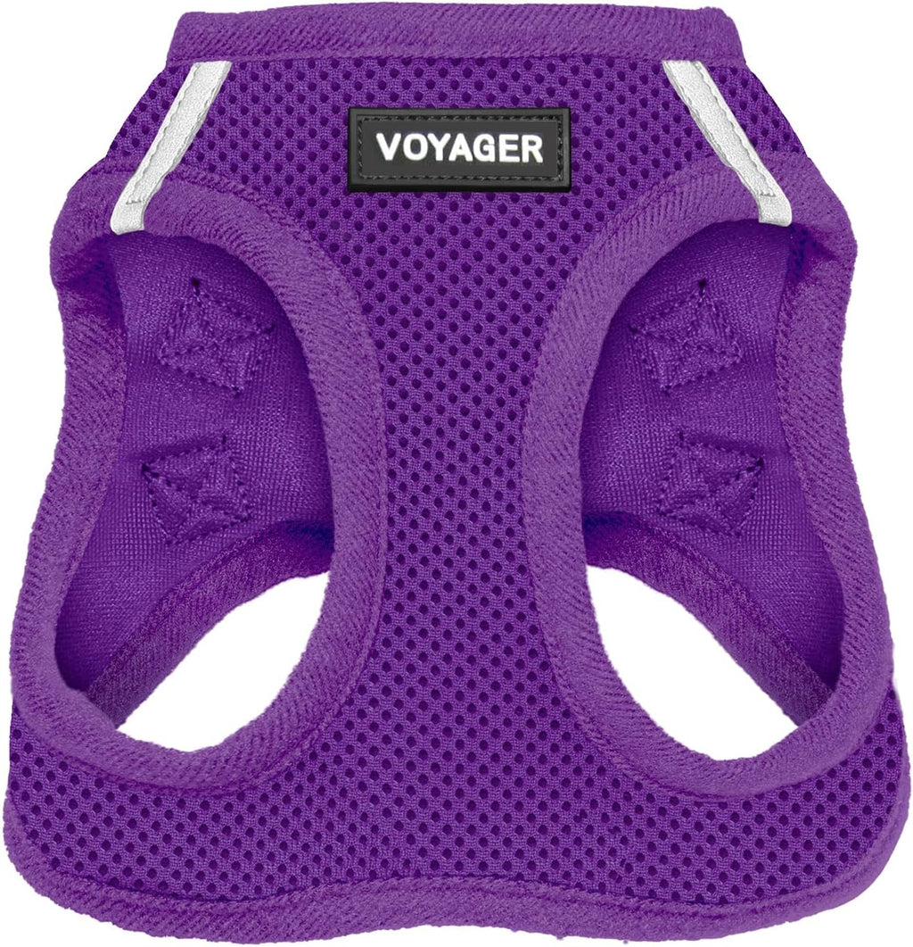 Best Pet Supplies Voyager Step-in Air Harness - All Weather Mesh, Reflective, No Pull Harness for Dogs, Cats - Secure with Hook & Loop Fastener, Buckle, Double D-Rings - Fuchsia, S