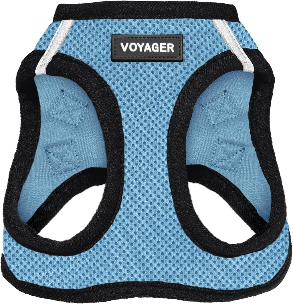 Best Pet Supplies Voyager Step-in Air Harness - All Weather Mesh, Reflective, No Pull Harness for Dogs, Cats - Secure with Hook & Loop Fastener, Buckle, Double D-Rings - Fuchsia, S