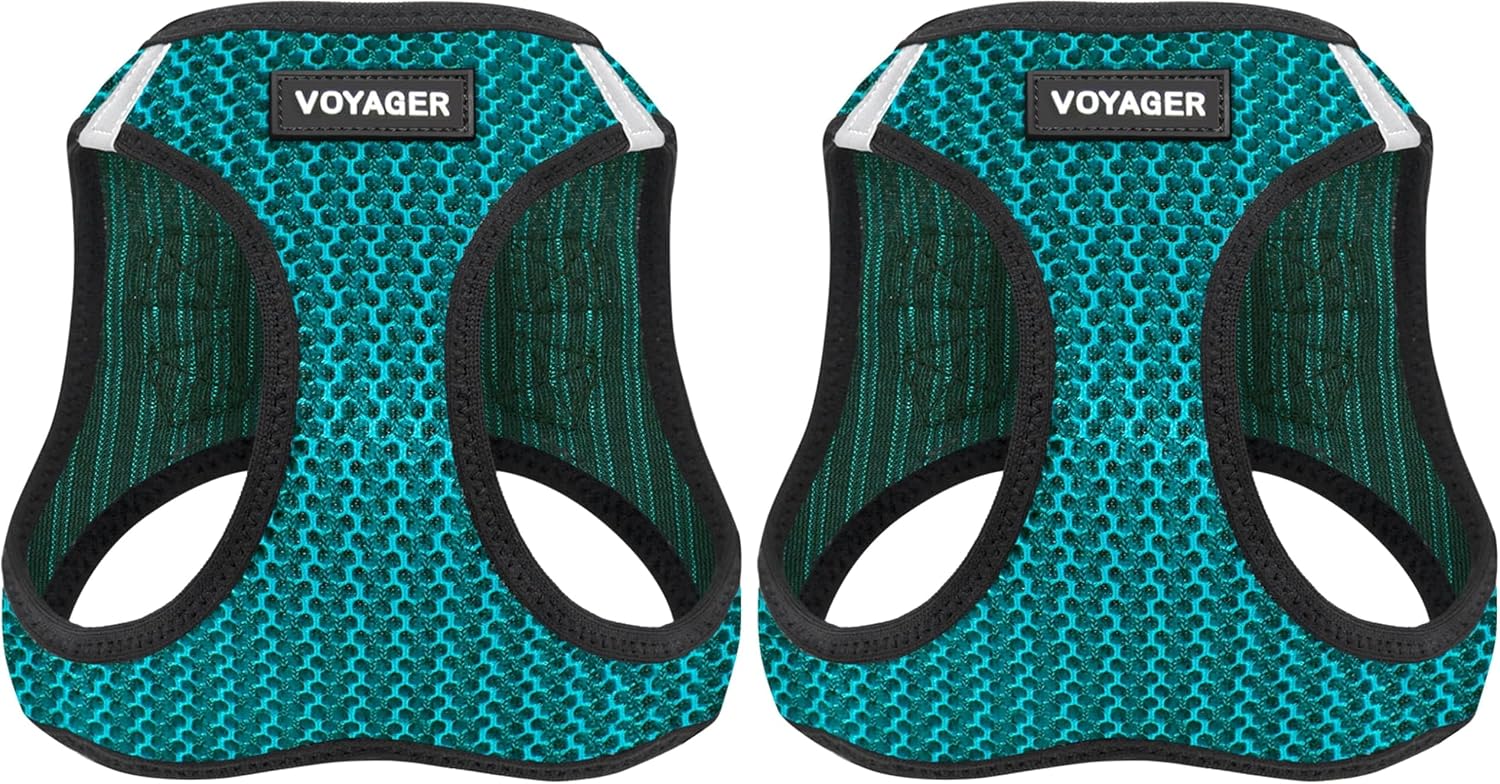 Best Pet Supplies Voyager Step-in Air Harness - All Weather Mesh, Reflective, No Pull Harness for Dogs, Cats - Secure with Hook & Loop Fastener, Buckle, Double D-Rings - Fuchsia, S
