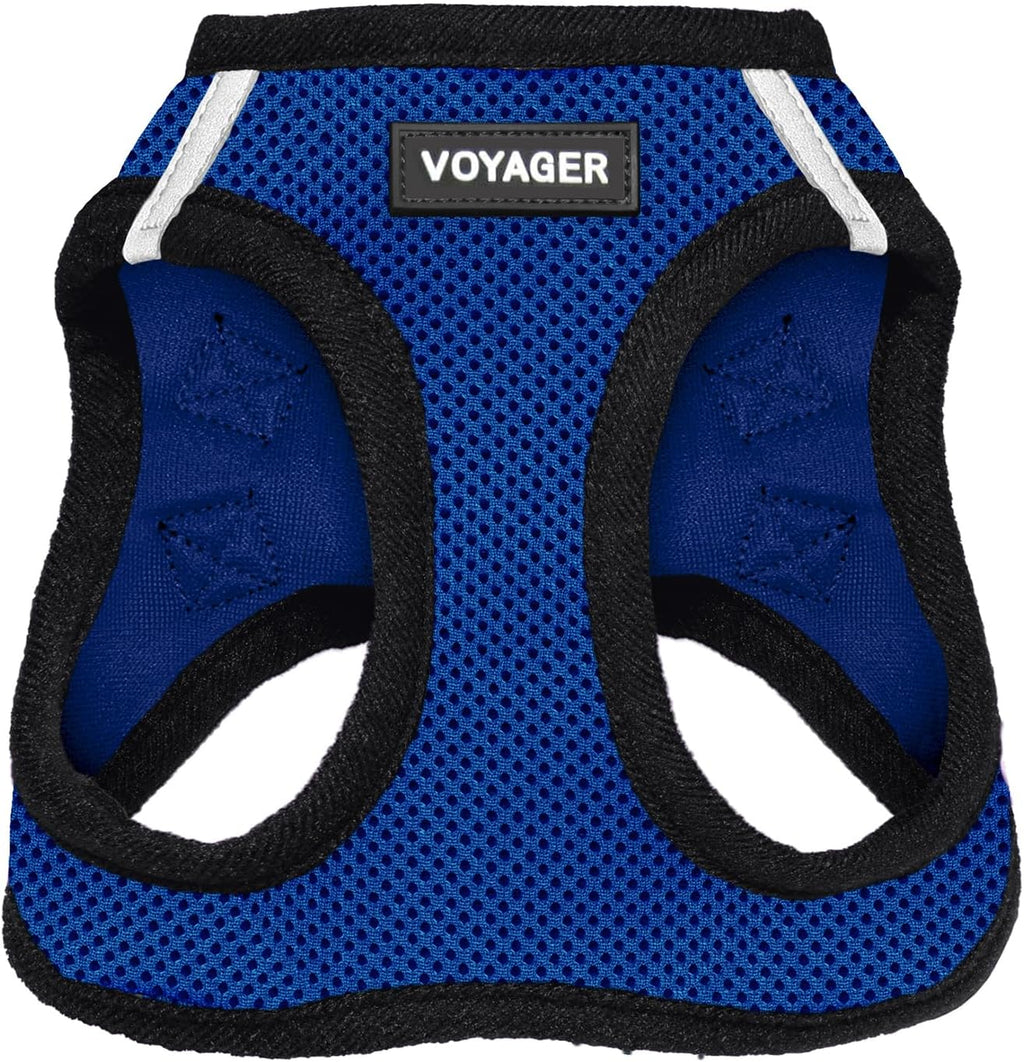 Best Pet Supplies Voyager Step-in Air Harness - All Weather Mesh, Reflective, No Pull Harness for Dogs, Cats - Secure with Hook & Loop Fastener, Buckle, Double D-Rings - Fuchsia, S