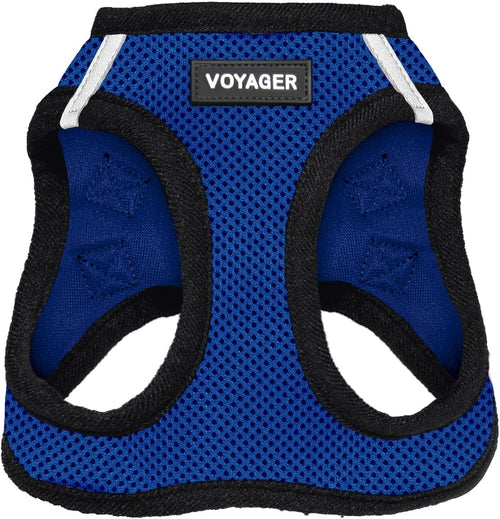 Best Pet Supplies Voyager Step-in Air Harness - All Weather Mesh, Reflective, No Pull Harness for Dogs, Cats - Secure with Hook & Loop Fastener, Buckle, Double D-Rings - Fuchsia, S