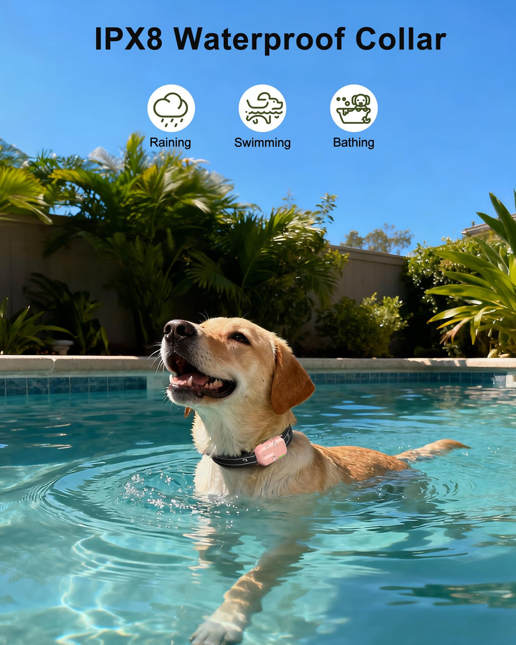 Dog Shock Collar - 4500FT Dog Training Collar with Remote, IPX8 Waterproof Electric Dog Collar with 4 Training Modes, Security Lock, Rechargeable eCollar for 10-120lbs Small Medium Large Dogs