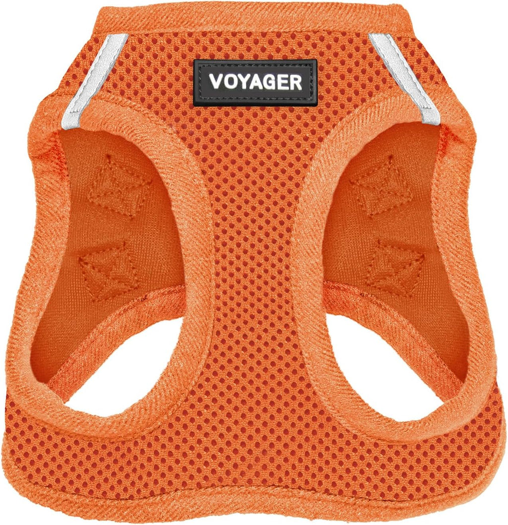 Best Pet Supplies Voyager Step-in Air Harness - All Weather Mesh, Reflective, No Pull Harness for Dogs, Cats - Secure with Hook & Loop Fastener, Buckle, Double D-Rings - Fuchsia, S