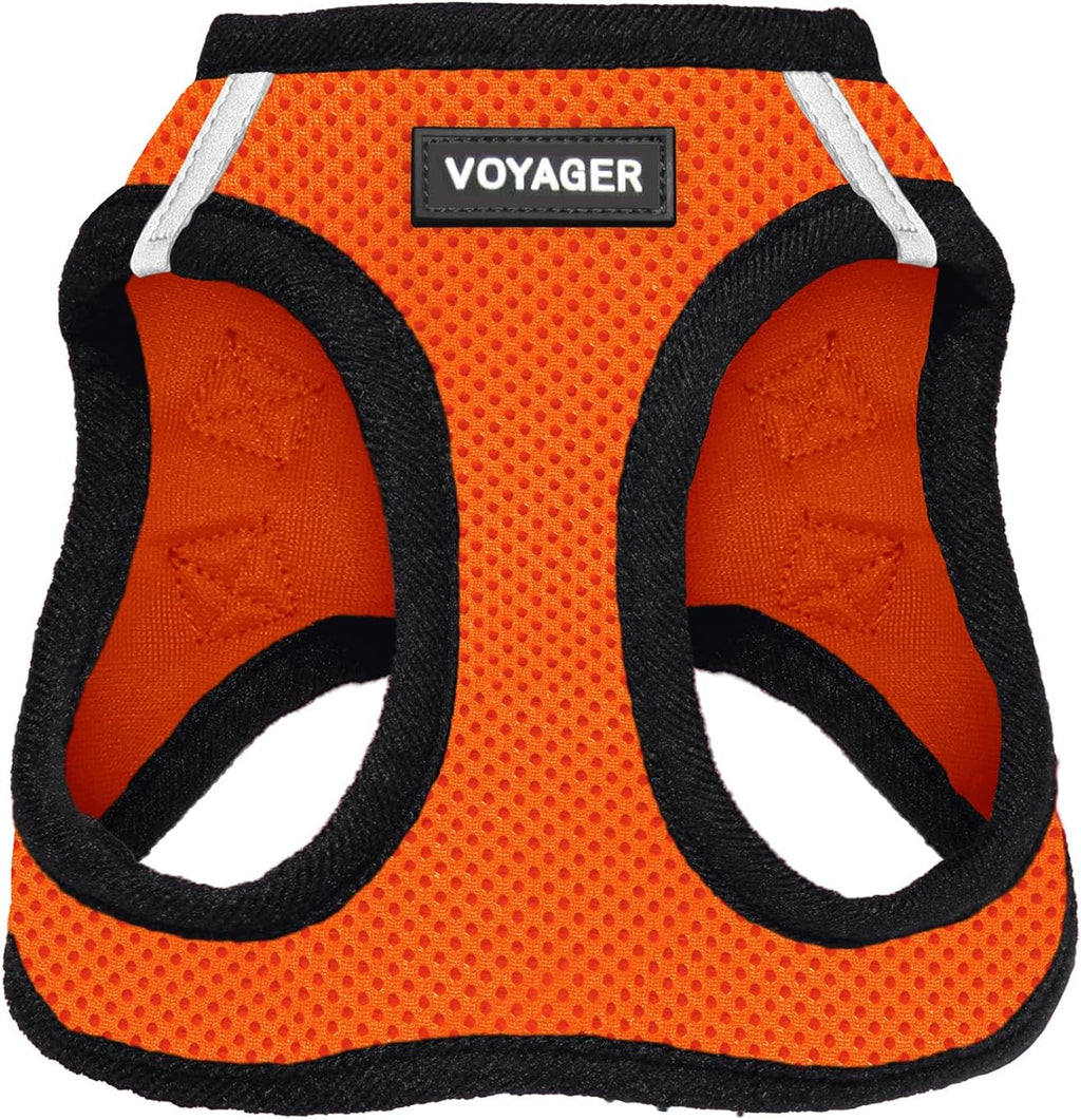 Best Pet Supplies Voyager Step-in Air Harness - All Weather Mesh, Reflective, No Pull Harness for Dogs, Cats - Secure with Hook & Loop Fastener, Buckle, Double D-Rings - Fuchsia, S