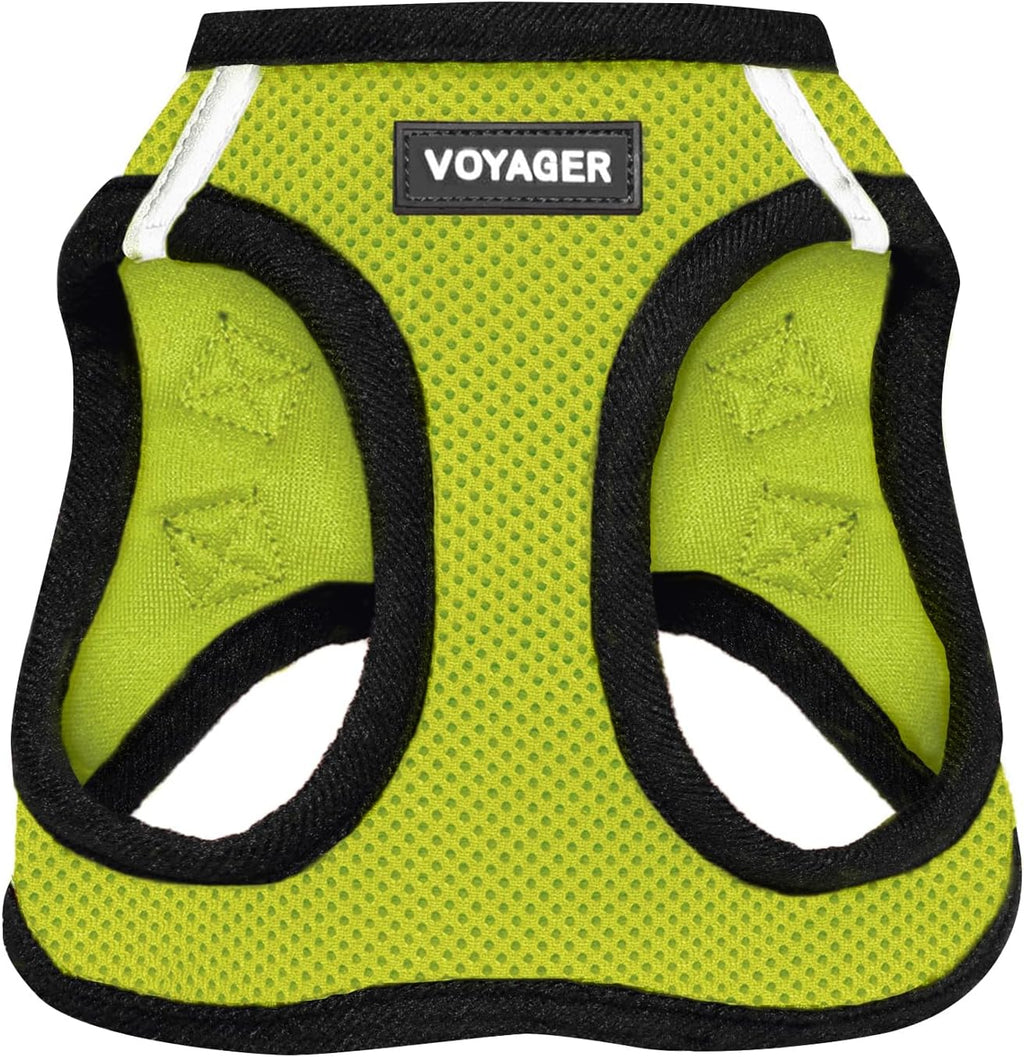 Best Pet Supplies Voyager Step-in Air Harness - All Weather Mesh, Reflective, No Pull Harness for Dogs, Cats - Secure with Hook & Loop Fastener, Buckle, Double D-Rings - Fuchsia, S