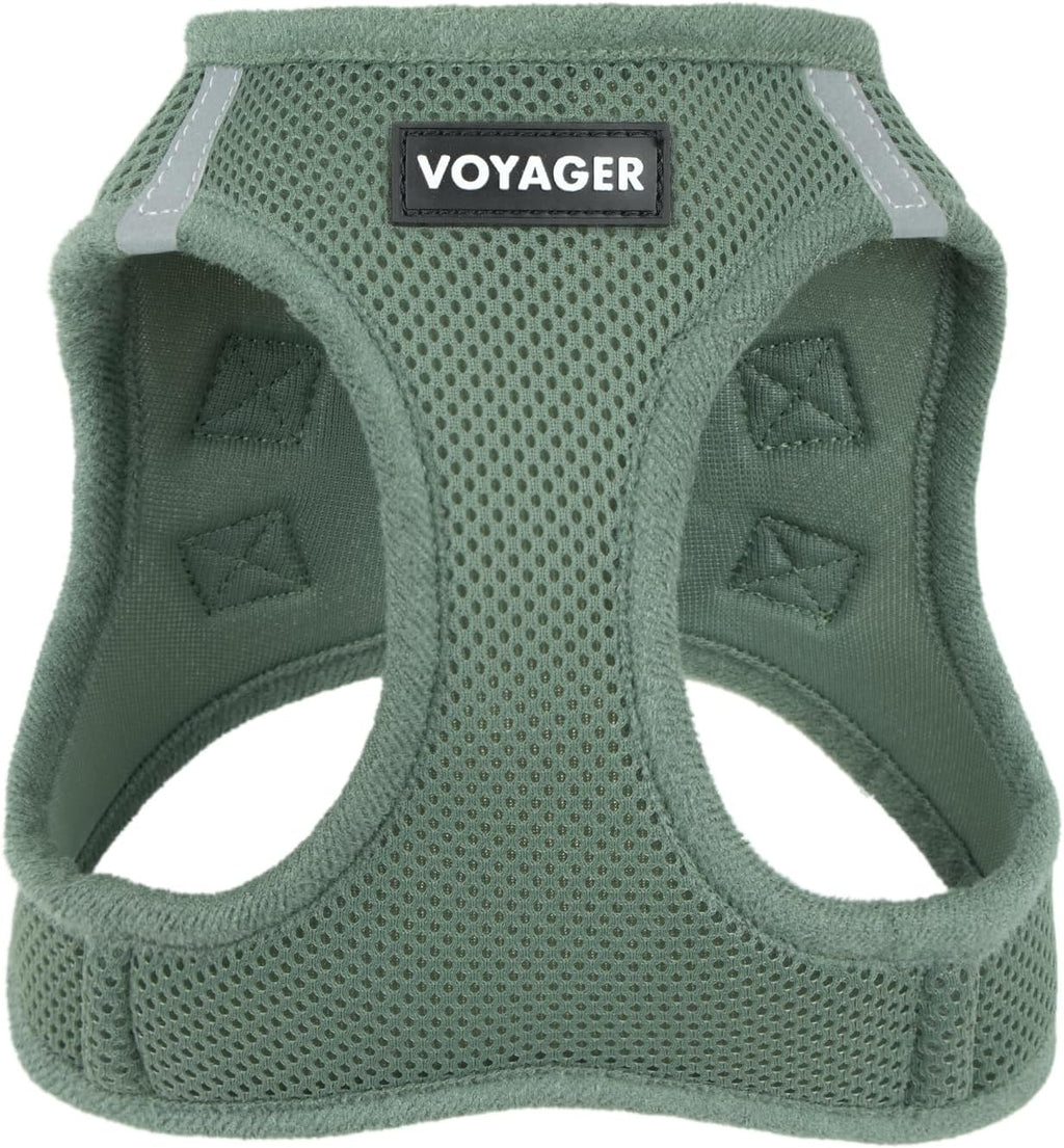 Best Pet Supplies Voyager Step-in Air Harness - All Weather Mesh, Reflective, No Pull Harness for Dogs, Cats - Secure with Hook & Loop Fastener, Buckle, Double D-Rings - Fuchsia, S