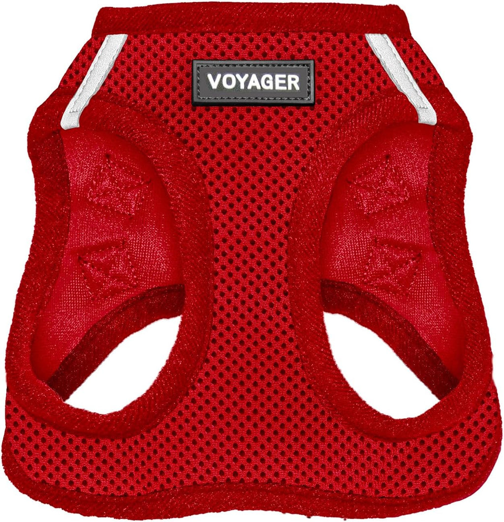 Best Pet Supplies Voyager Step-in Air Harness - All Weather Mesh, Reflective, No Pull Harness for Dogs, Cats - Secure with Hook & Loop Fastener, Buckle, Double D-Rings - Fuchsia, S