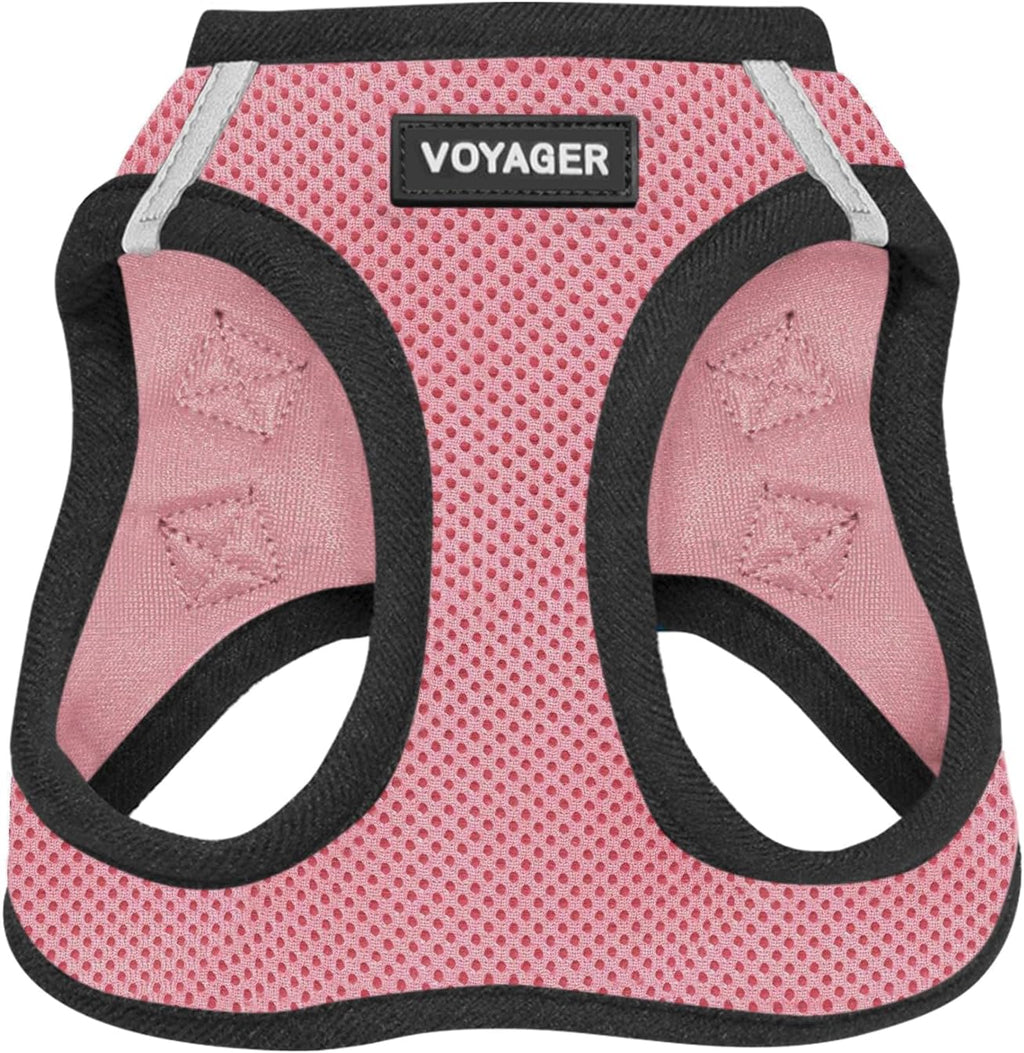 Best Pet Supplies Voyager Step-in Air Harness - All Weather Mesh, Reflective, No Pull Harness for Dogs, Cats - Secure with Hook & Loop Fastener, Buckle, Double D-Rings - Fuchsia, S