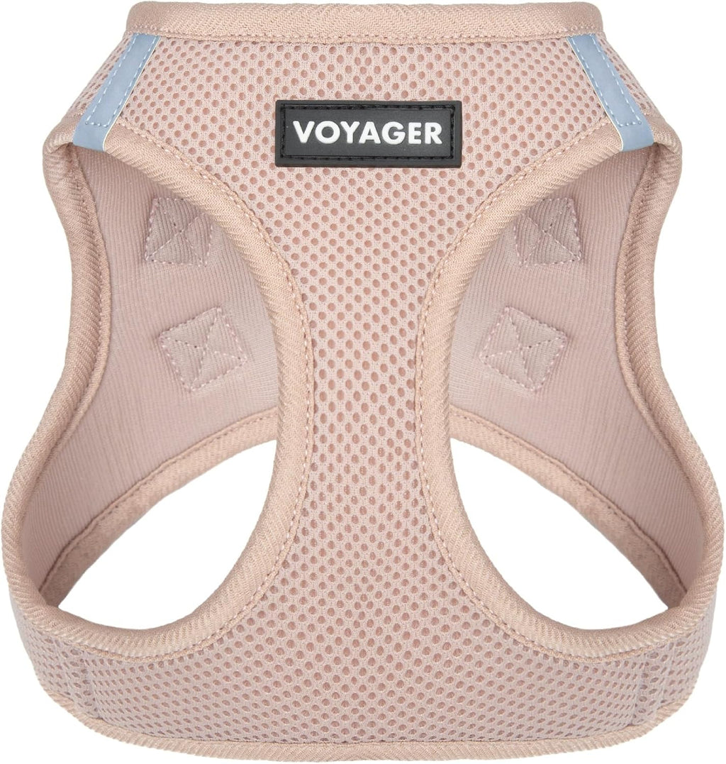 Best Pet Supplies Voyager Step-in Air Harness - All Weather Mesh, Reflective, No Pull Harness for Dogs, Cats - Secure with Hook & Loop Fastener, Buckle, Double D-Rings - Fuchsia, S