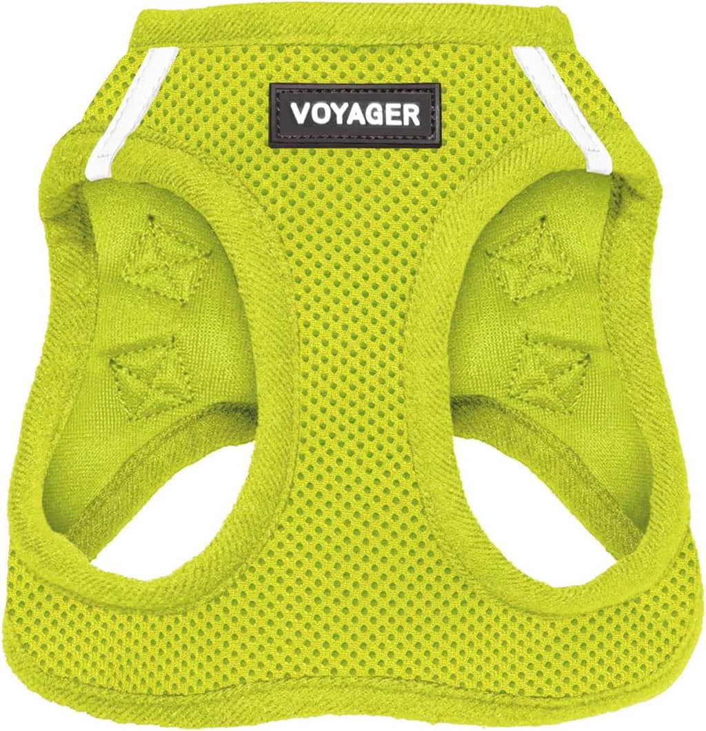 Best Pet Supplies Voyager Step-in Air Harness - All Weather Mesh, Reflective, No Pull Harness for Dogs, Cats - Secure with Hook & Loop Fastener, Buckle, Double D-Rings - Fuchsia, S