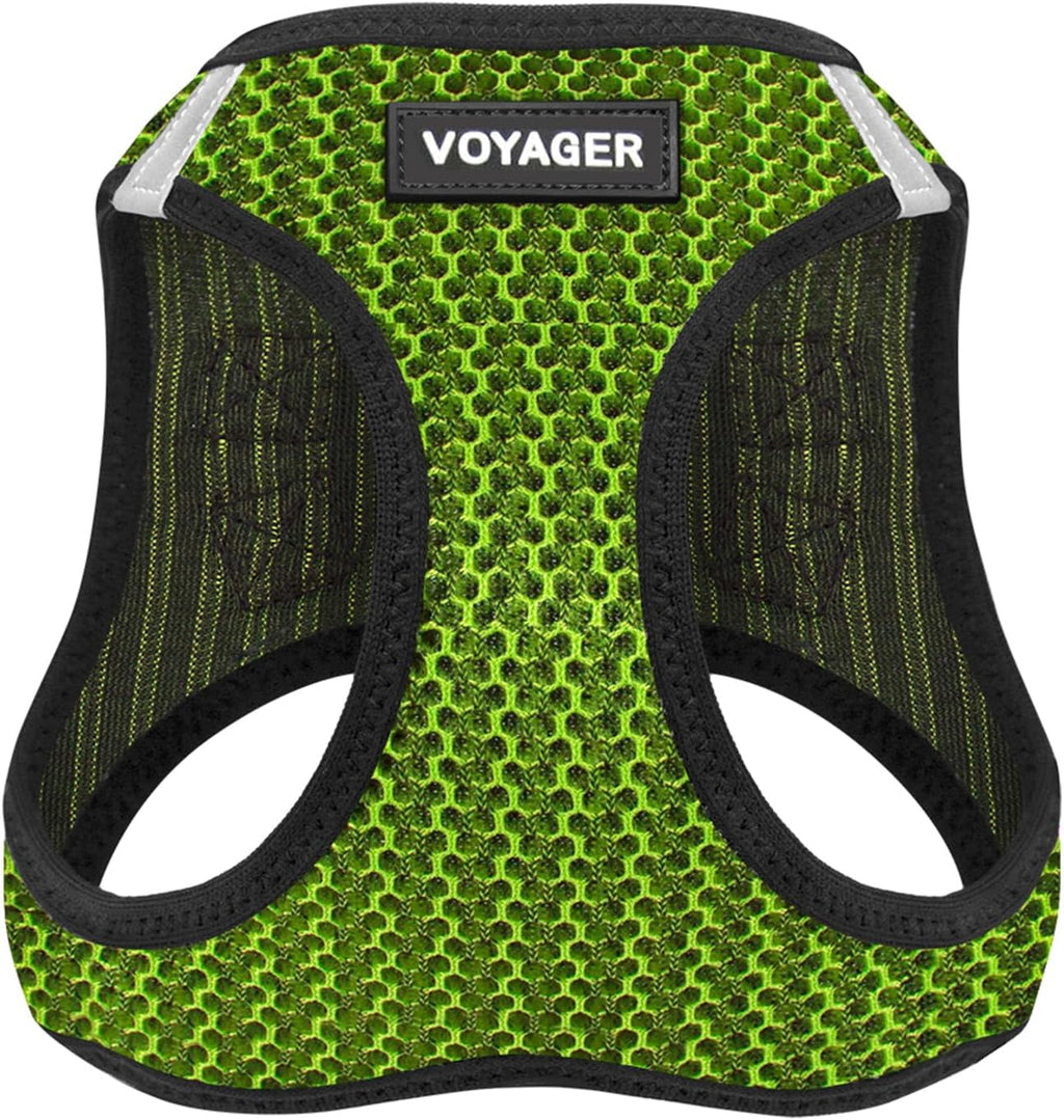 Best Pet Supplies Voyager Step-in Air Harness - All Weather Mesh, Reflective, No Pull Harness for Dogs, Cats - Secure with Hook & Loop Fastener, Buckle, Double D-Rings - Fuchsia, S