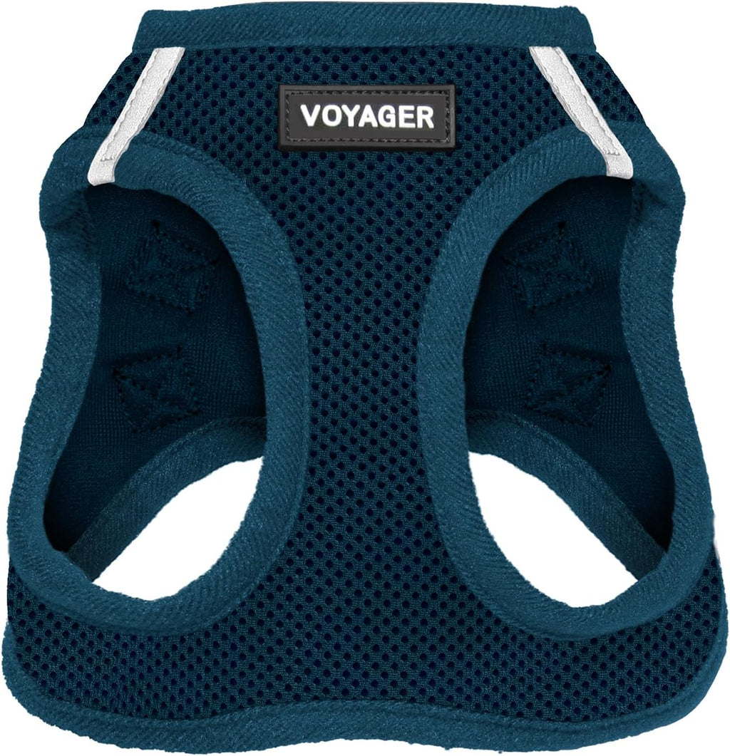 Best Pet Supplies Voyager Step-in Air Harness - All Weather Mesh, Reflective, No Pull Harness for Dogs, Cats - Secure with Hook & Loop Fastener, Buckle, Double D-Rings - Fuchsia, S